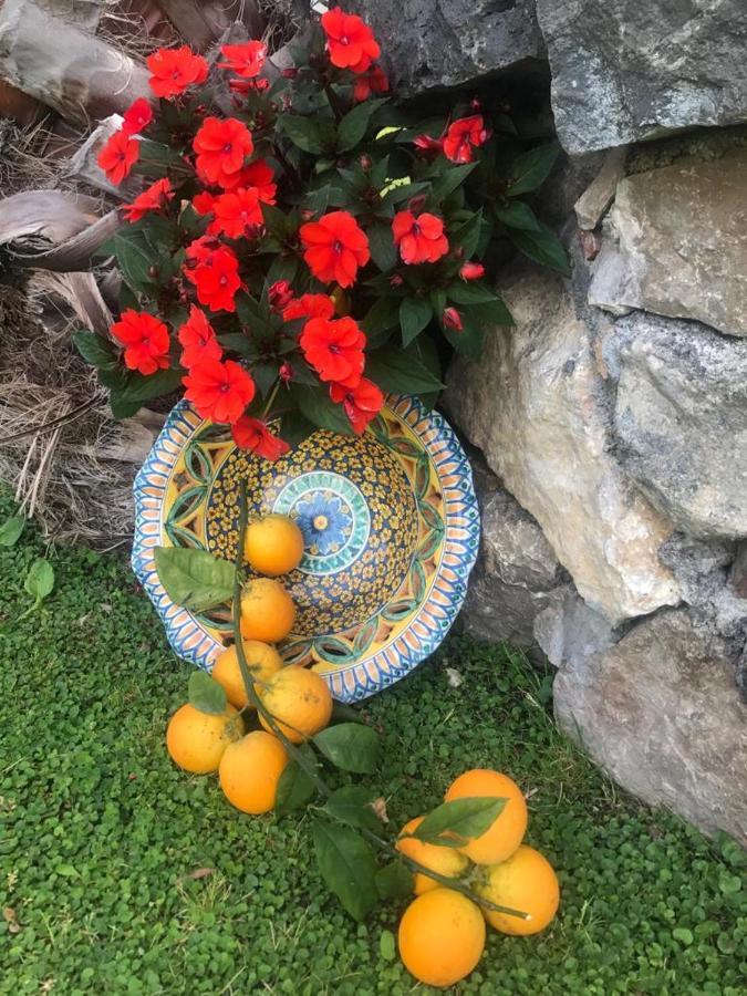 La Capanna Di Giuseppe E Maria Bed and Breakfast Ταορμίνα Εξωτερικό φωτογραφία